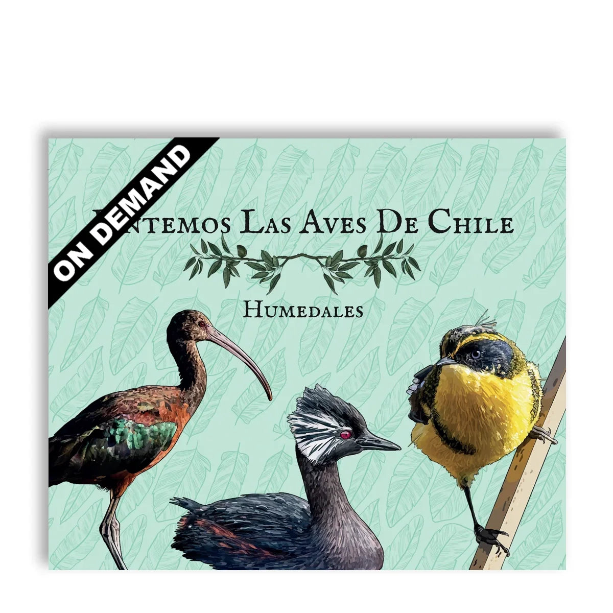 Pintemos las Aves de Chile Humedales