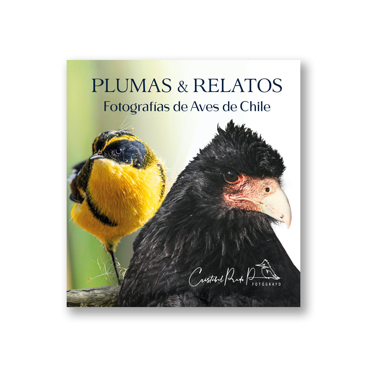 Plumas y Relatos