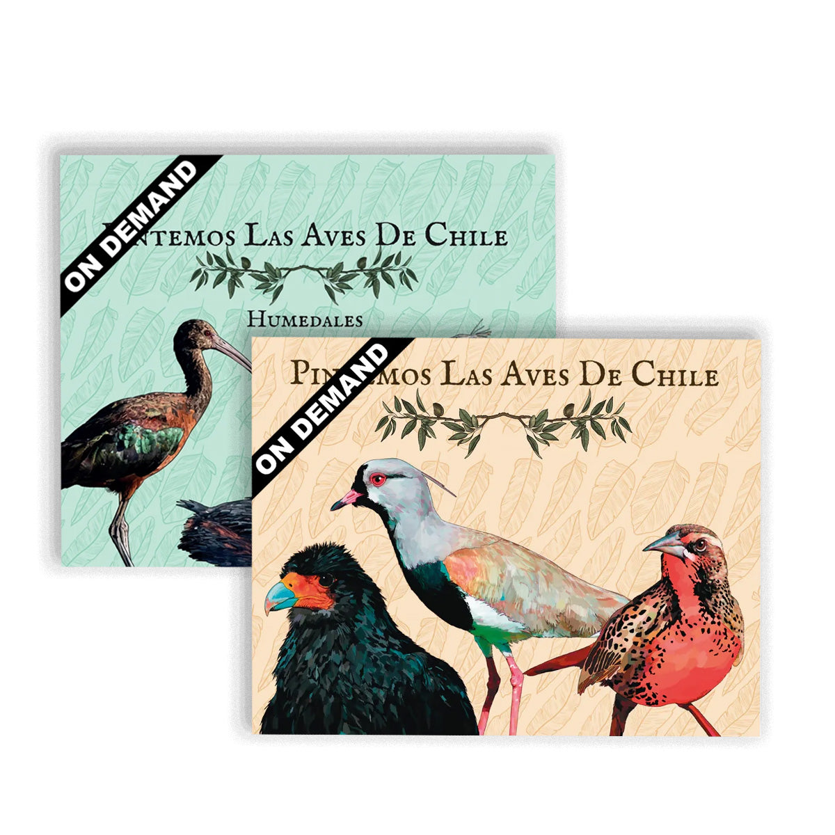 Pack Pintemos las Aves + Humedales