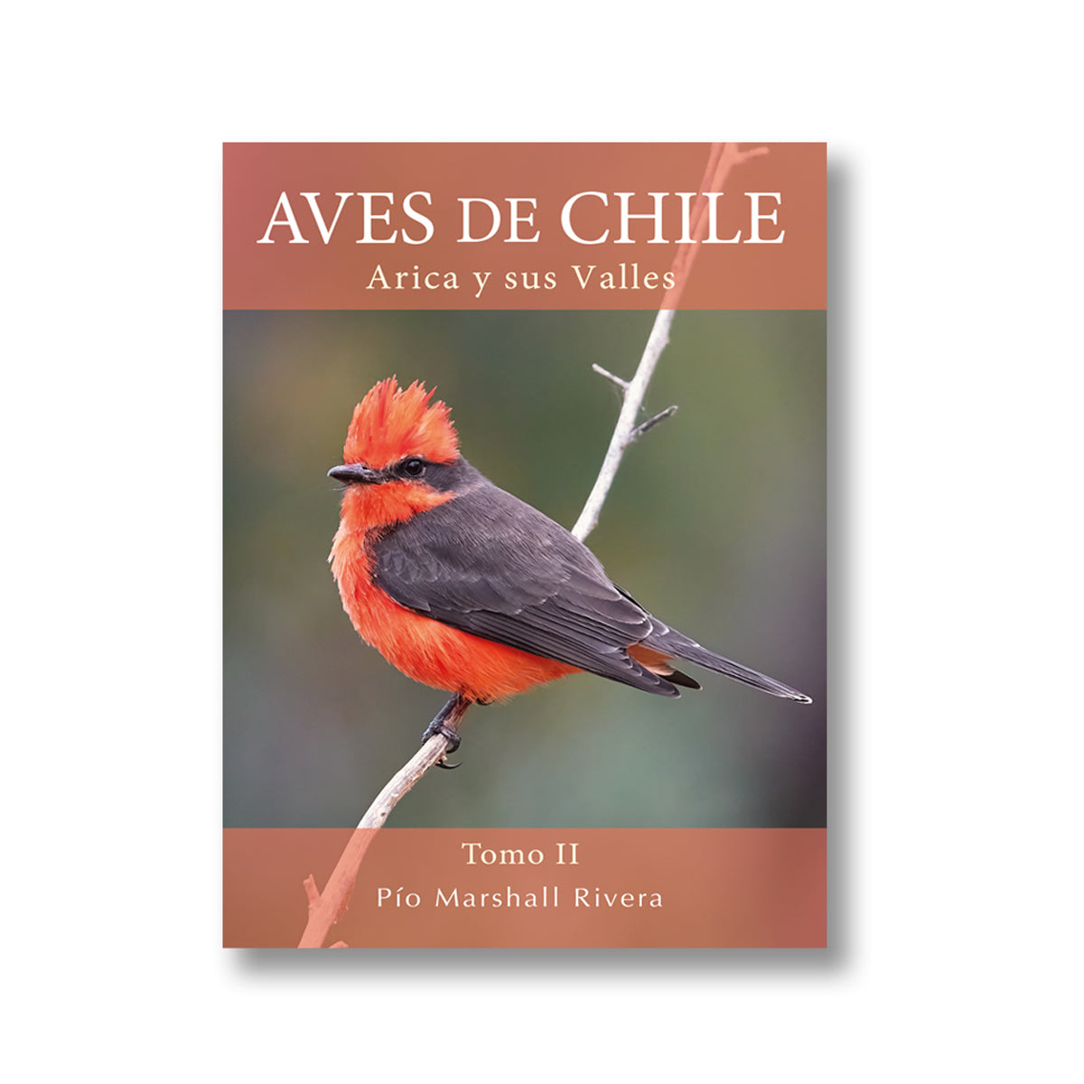 Aves de Chile Tomo II: Arica y Sus Valles