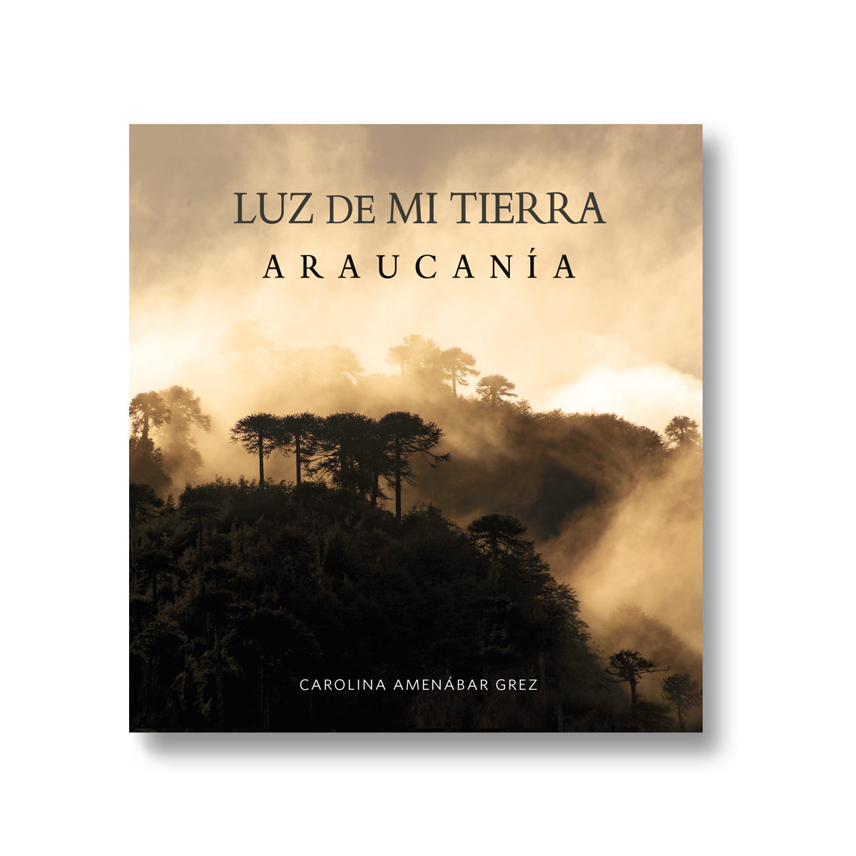 Luz de mi Tierra Araucania