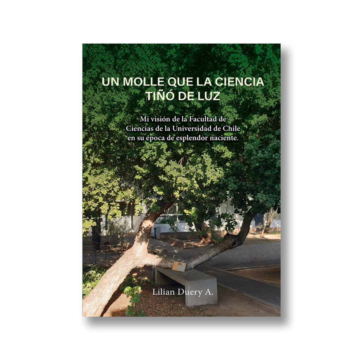 Un Molle que la Ciencia Tiñó de Luz